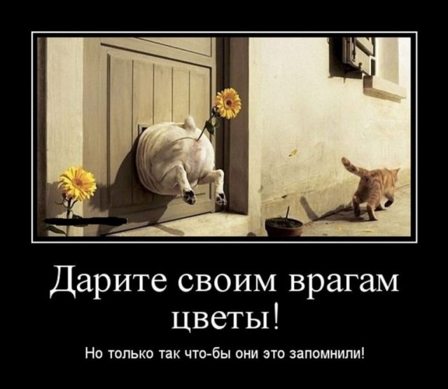 Сборник Боянов №2