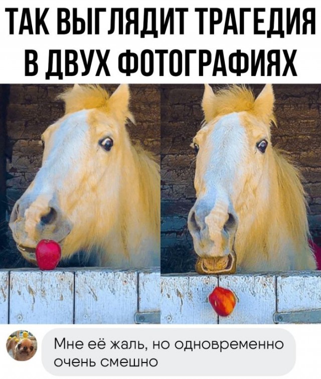 Картинки и мемы, всем хороших выходных