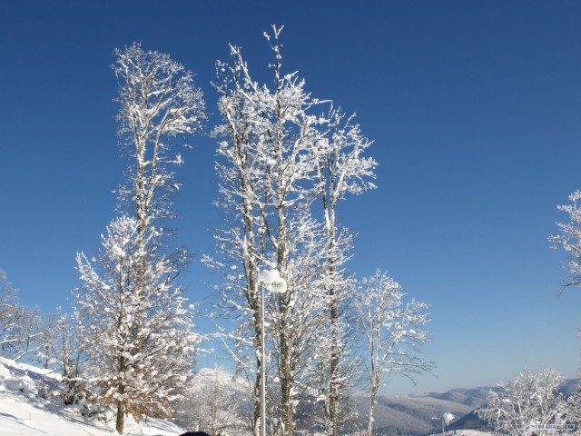Курорт Буковель (Украина, Карпаты)