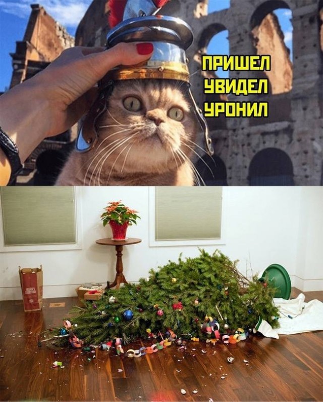 Картинки и мемы, выходные продолжаются