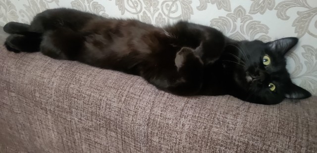 Короче, поступила как мужик