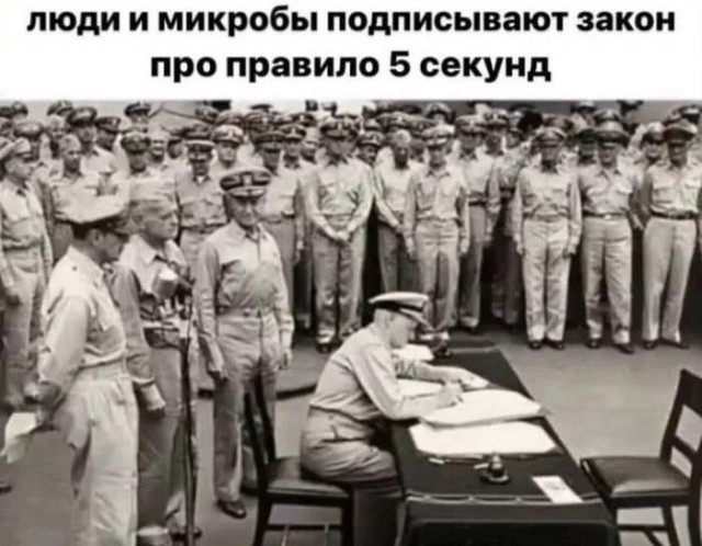 Дичь