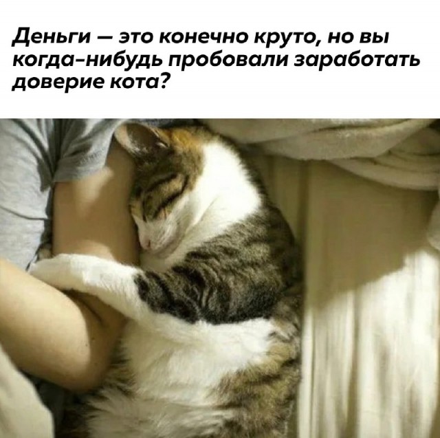 Немного картинок для настроения - 135