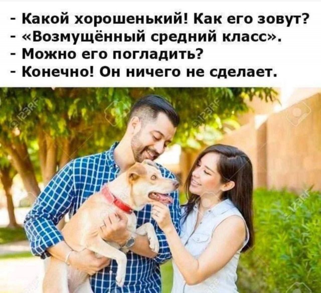 Про погромы во Франции и что ждет нас через 15 лет