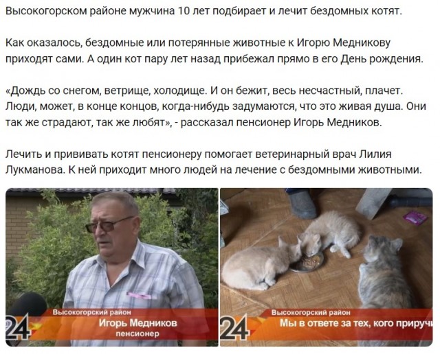 Зоозащитницу во Владивостоке облили цементом при спасении кошек из подвала