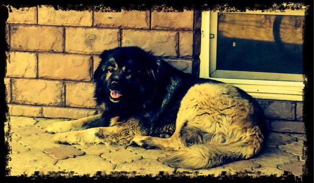 Простите меня!