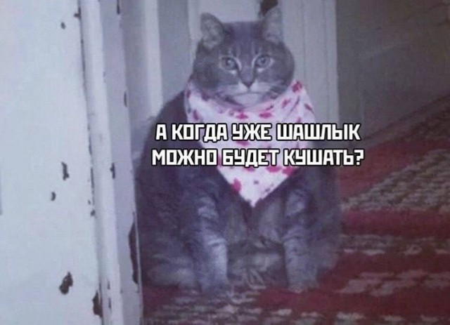Отряд быстрого деградирования