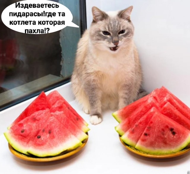 "Не готово еще"