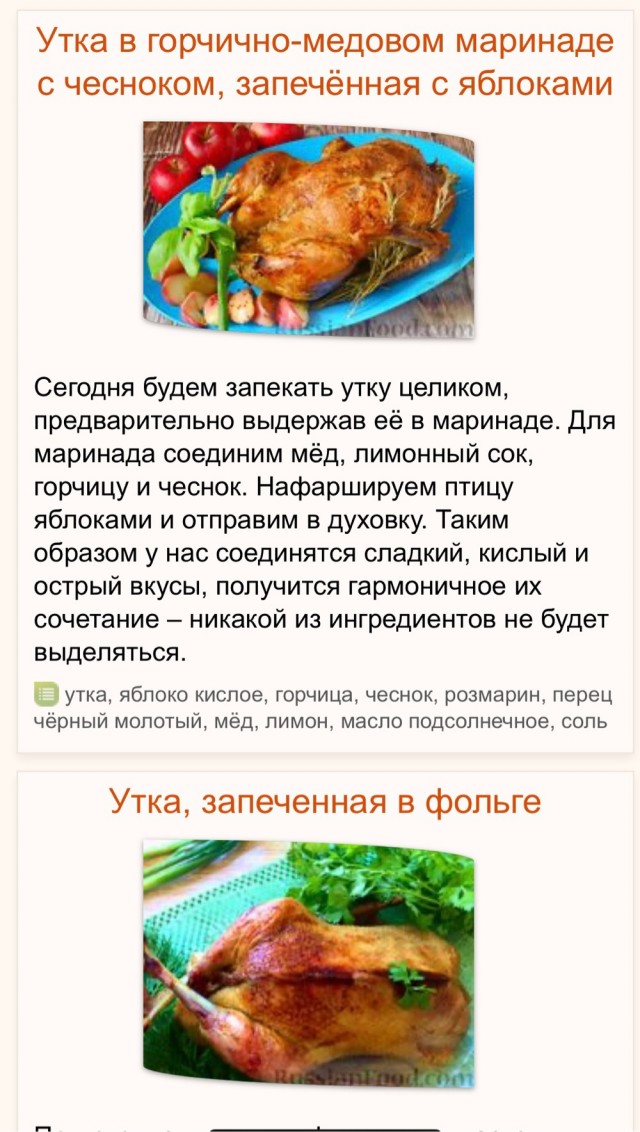 Спас тупую утку, вопросы по содержанию