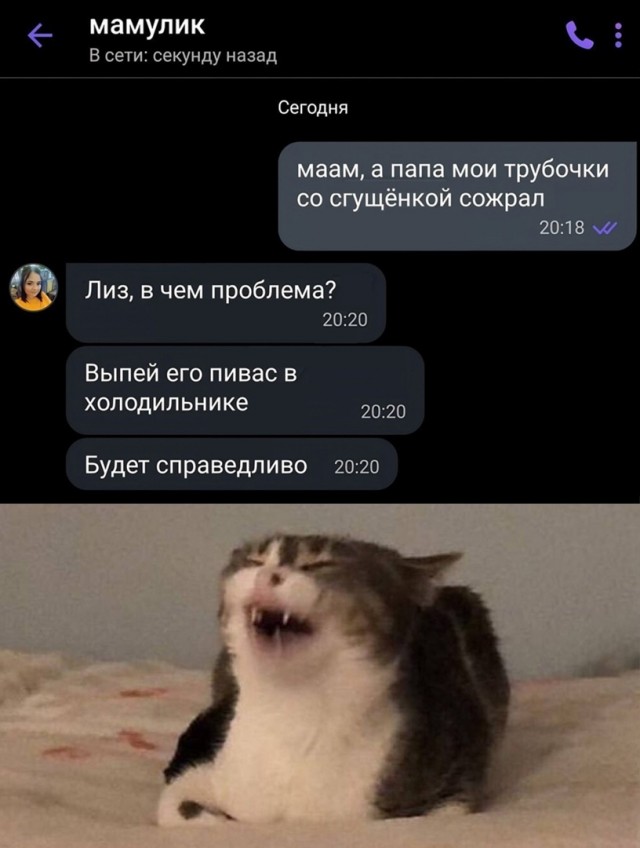 Так себе картинки 09.02.24