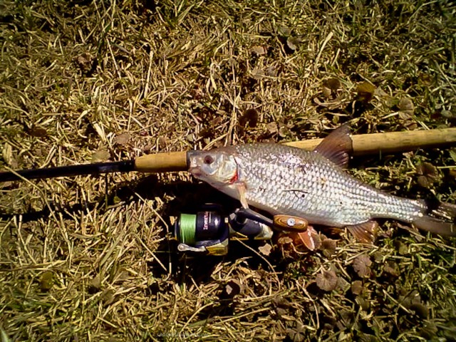 Отчет о Рыбалке