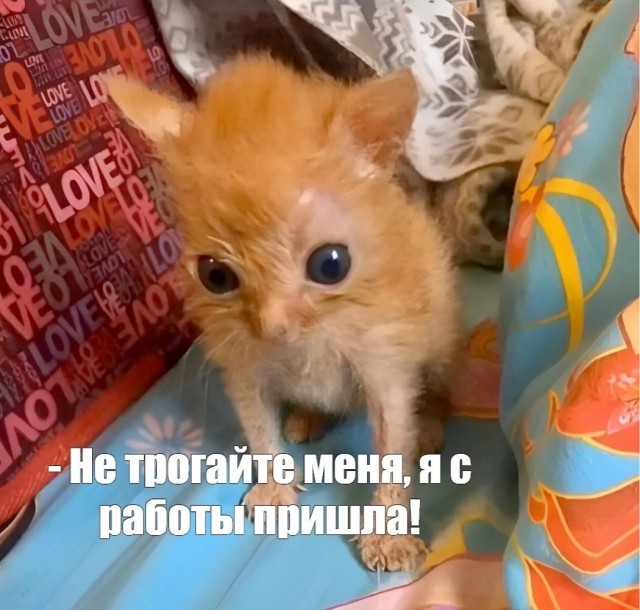 Посмеялся сам - поделись с другом!!!
