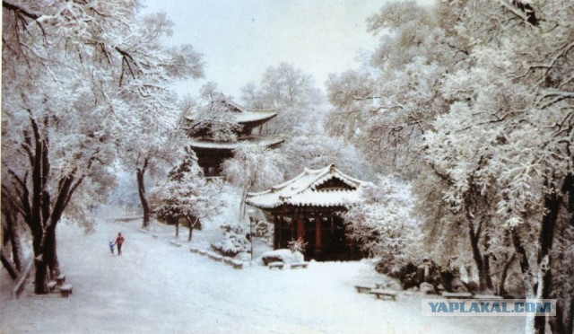 Товарищ Ким Чен Ын