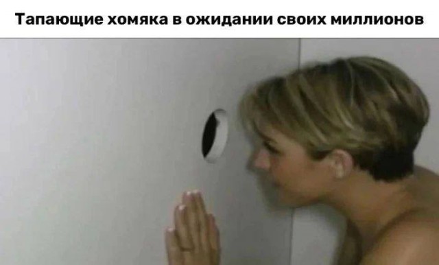 Всего понемногу. От 24.07.24
