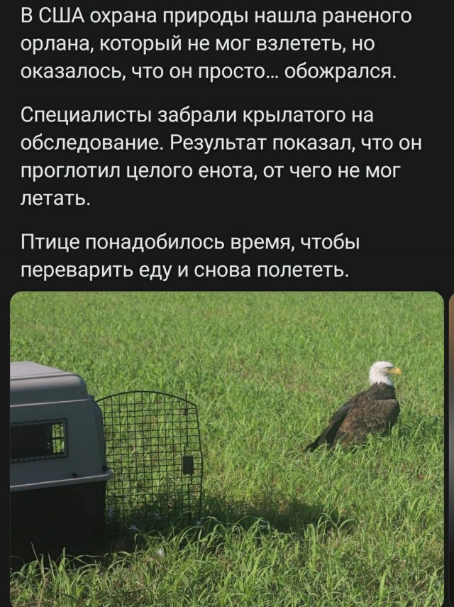 Веселые картинки к пятнице (30.08)