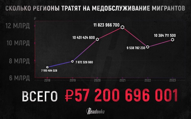 Медицинское страхование мигрантов и их семей ощутимо бьет по российскому кошельку и не думает снижаться