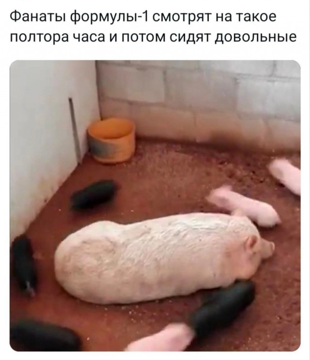Веселые картинки к понедельнику (21.10)
