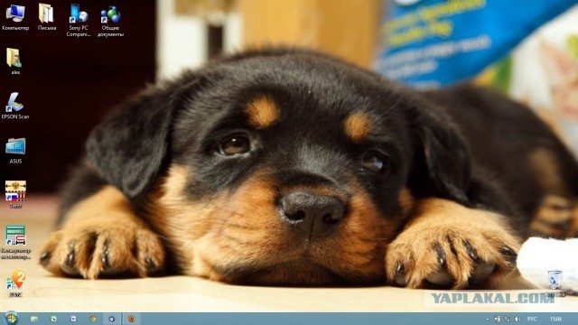 Оформление рабочего стола