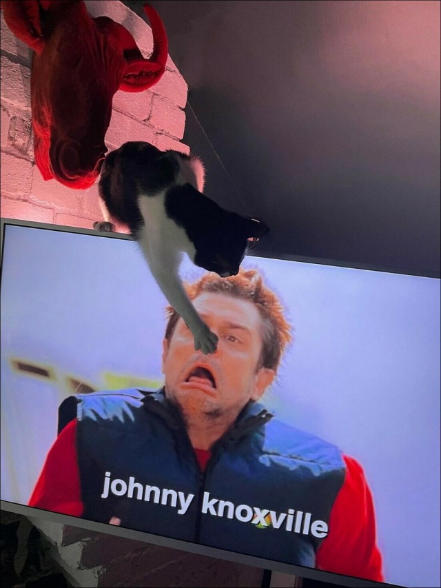 Крепость сдается?