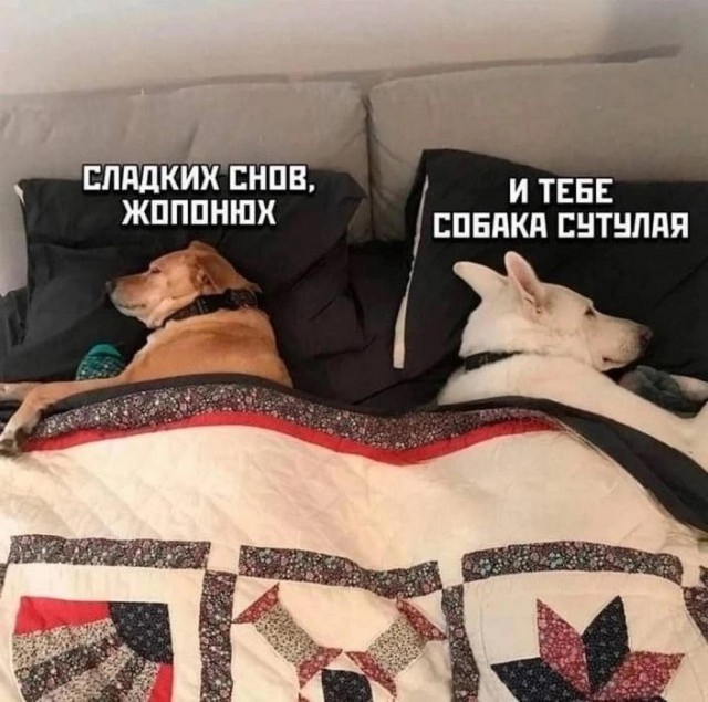 Хотели настоящую Белоснежку?
