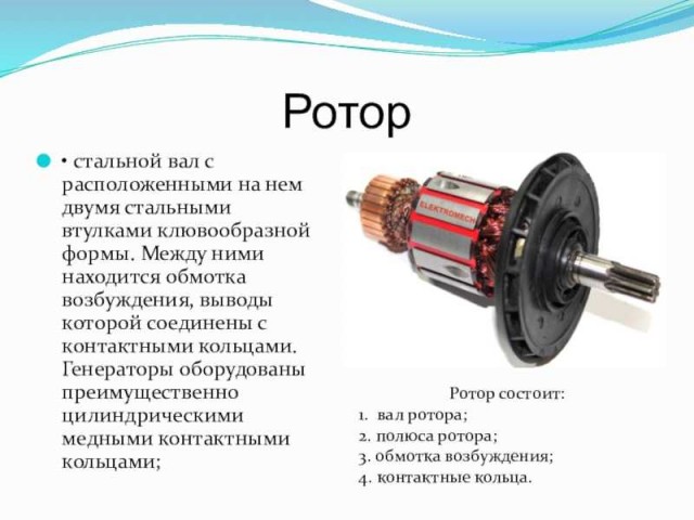 Реакция собак ,когда хозяева неожиданно на них лают