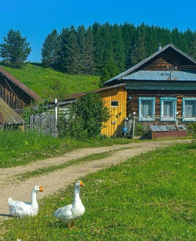 Прикольные и просто красивые картинки 13.05.2025