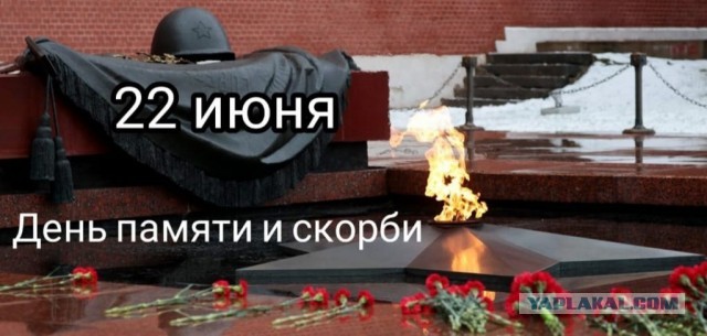 Известный в Курске бизнесмен заявил, что не гордится подвигом своих предков в 1945 году – «это их подвиг, а не мой»