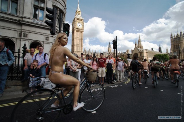 Голая задница протеста из Великобритании