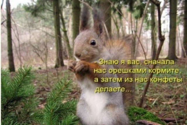 Большая подборка баянов разной степени свежести