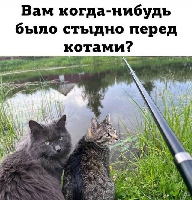 Так себе картинки 02.07.25
