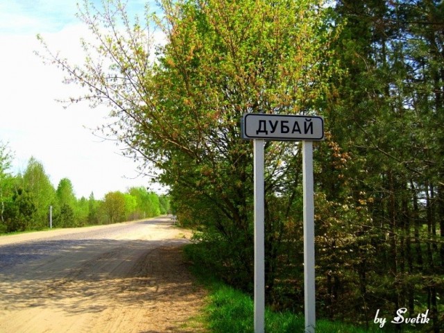 Дикость в наше время