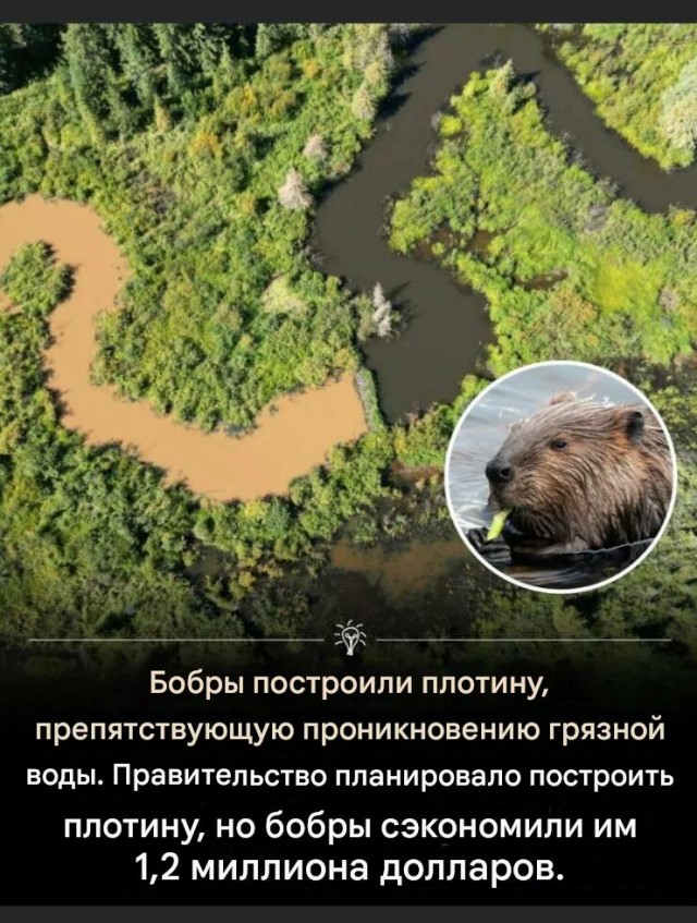 Прикольные и просто красивые картинки 15.08.2025