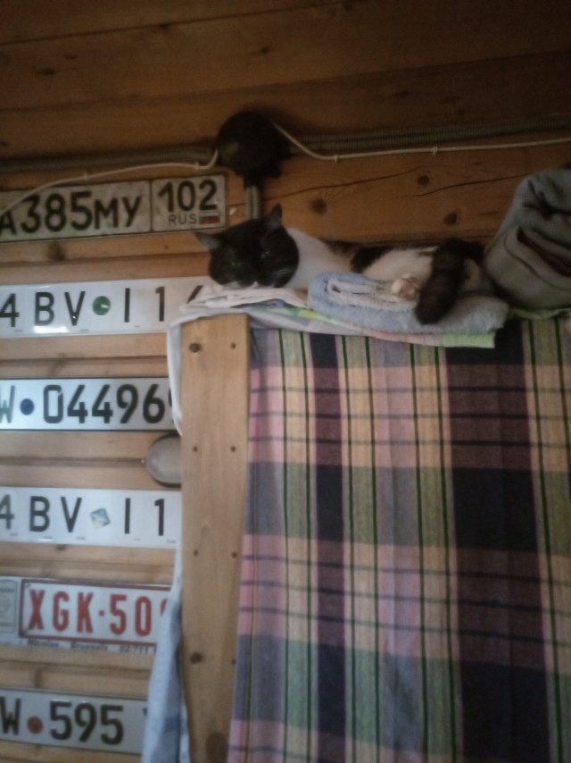 Принимайте в ряды которабов