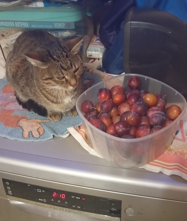 Я вот иногда думаю...