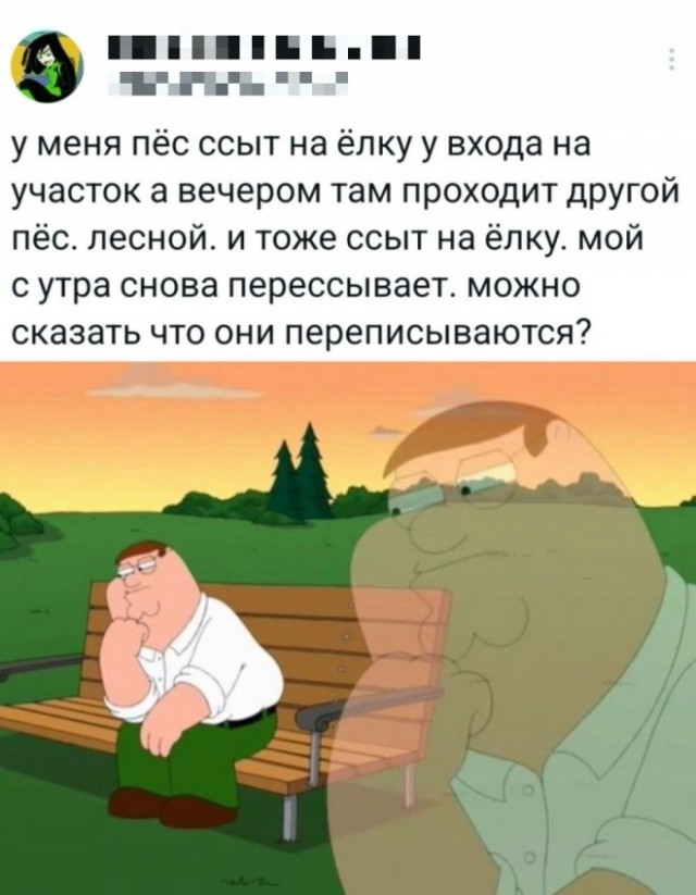 Веселые картинки в первый день октября (01.10)