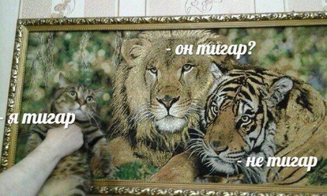 Дегрономикон 6
