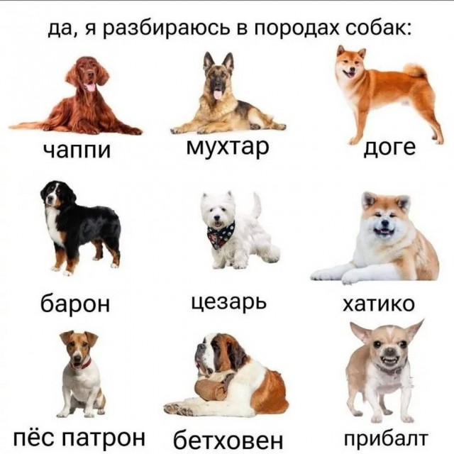 Четверговые картинки