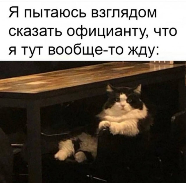 К котовторнику: подборка картинок-баянов с котиками и про котиков. Выпуск 31.