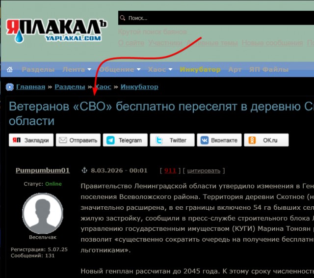Ветеранов «СВО» бесплатно переселят в деревню Скотное Ленинградской области