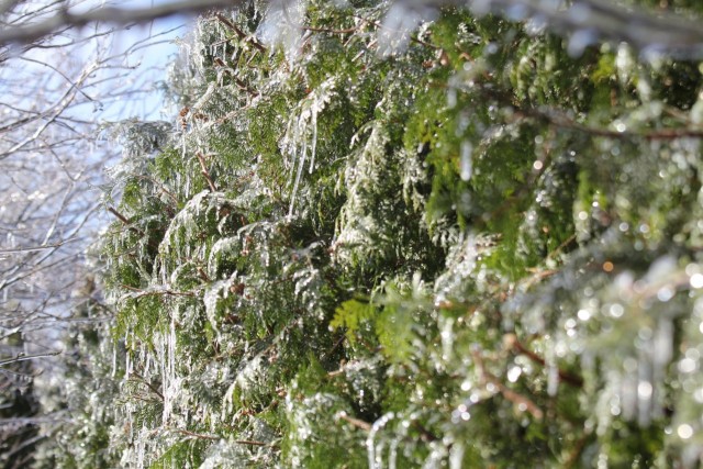 Ледяной дождь 03.05.24 (Лен.обл)