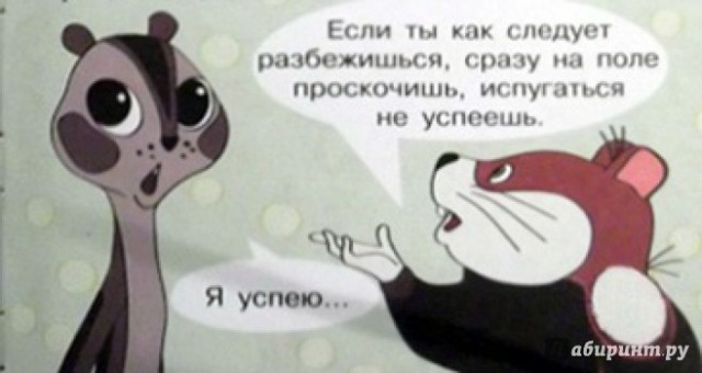 Кабанчег просто бегит