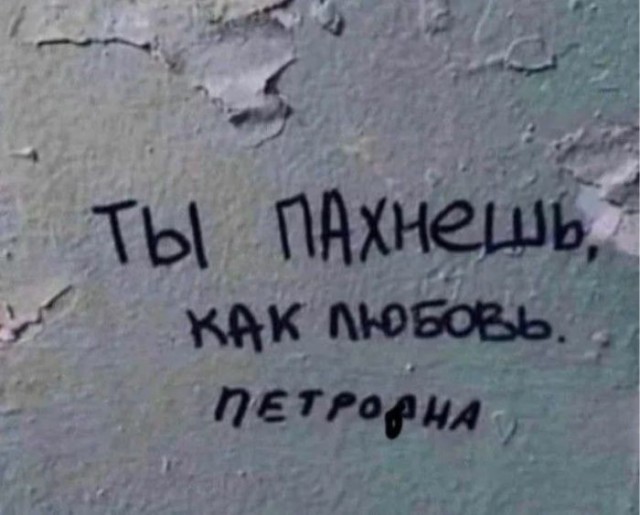 Веселые картинки в пятницу (21.08)