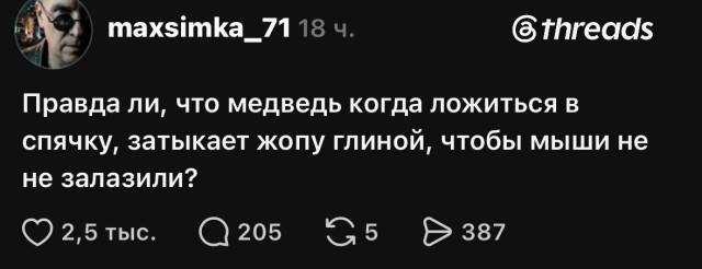 Про мышей медведоедов