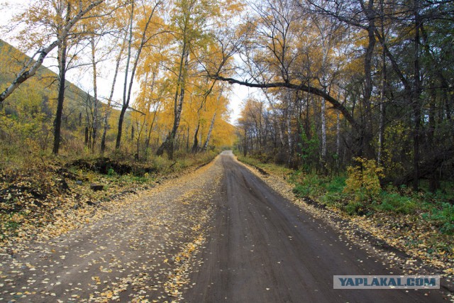 Красота природы не зависит от....