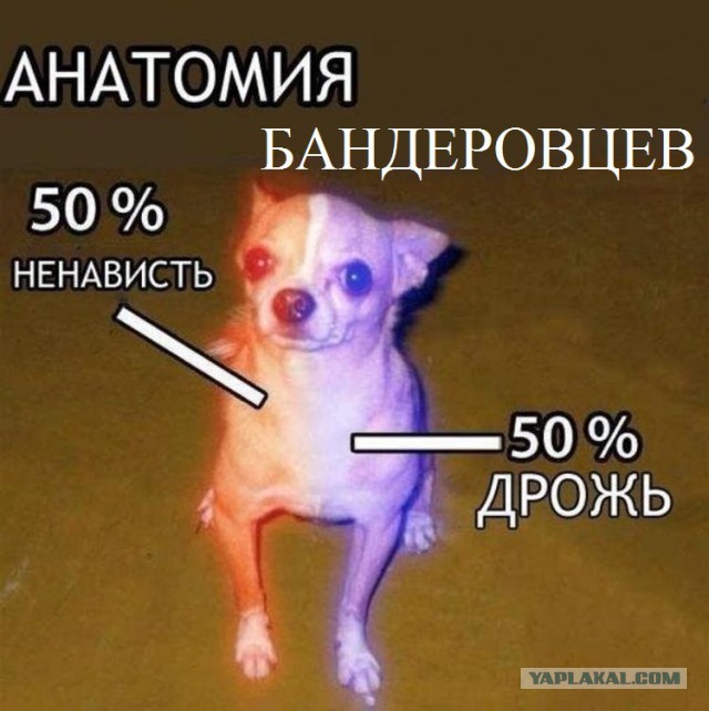 Криминальное чтиво по-русски