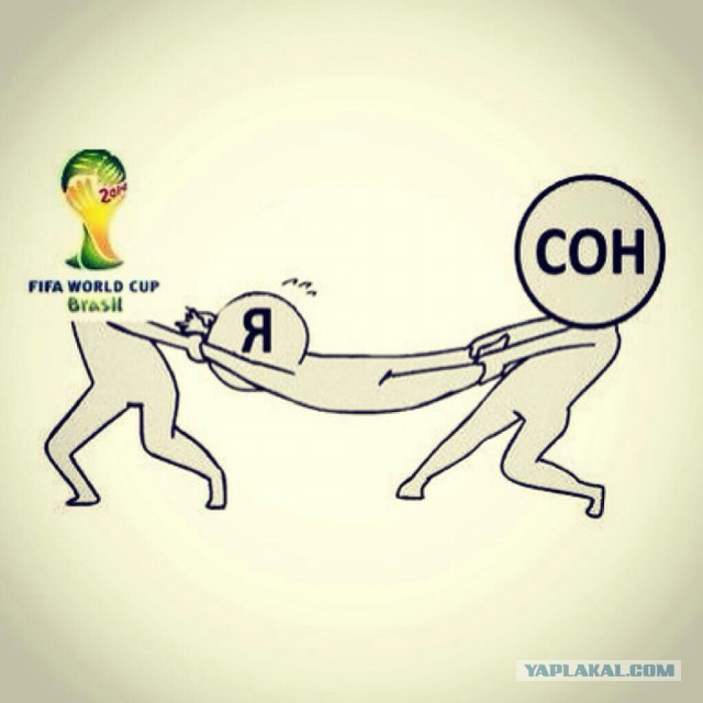 Чемпионат Мира 2014 Бразилия