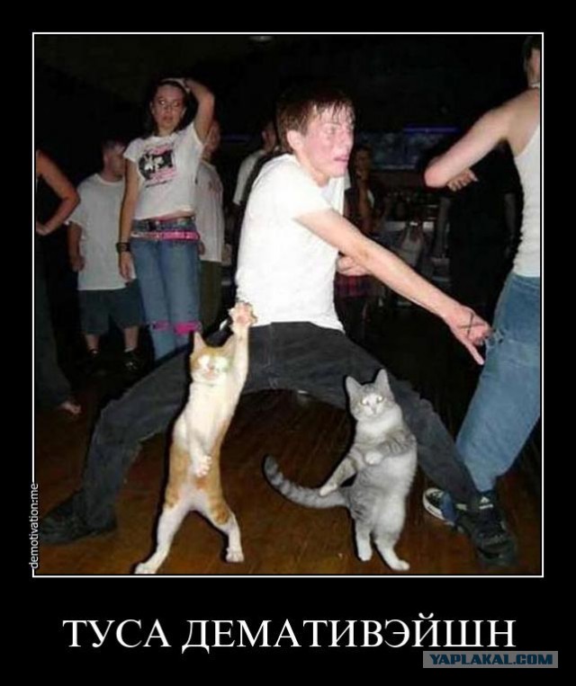 Чёрт, чёрт, чёрт!