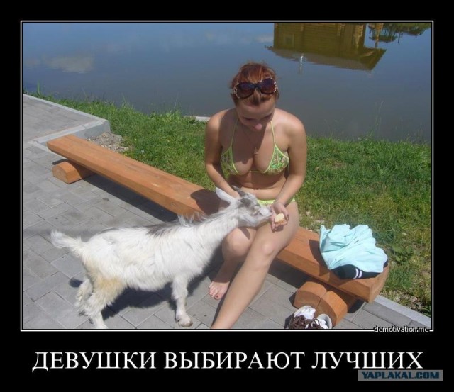 Две козы.