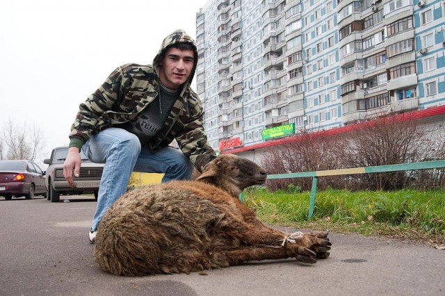 Курбан-Байрам в Москве