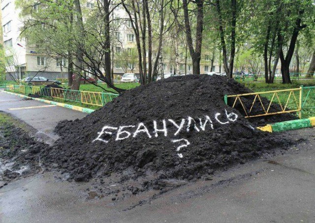 Вроде же были людьми недавно...